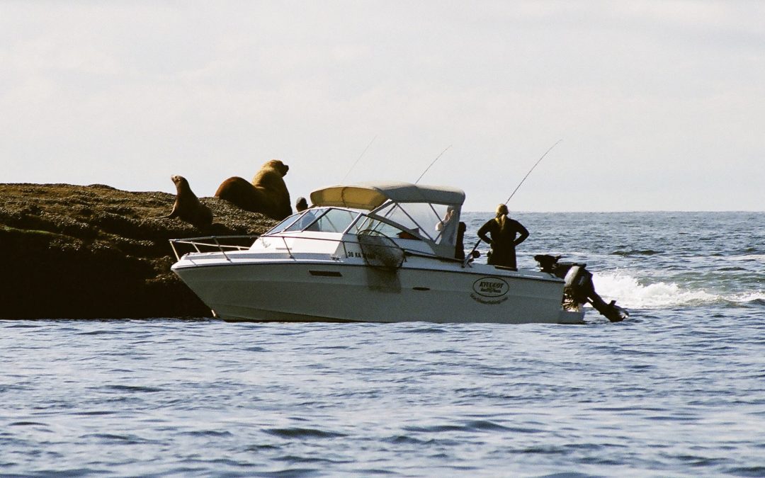 2020 Fishing Recap