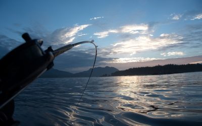 Is this Salmon a Keeper