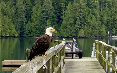 Unbelievable Fishing Clients